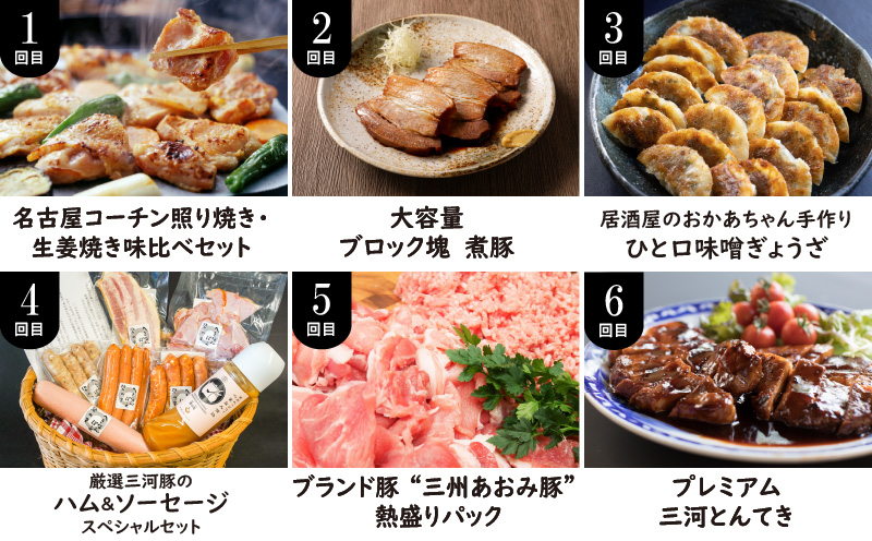 【全6回】厳選！お肉づくめの定期便 H028-080