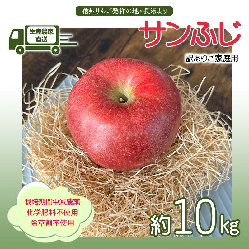 【ふるさと納税】生産農家直送 信州りんご発祥の地・長沼産 長沼りんご サンふじ(ご家庭用) 約10kg サイズミックス 長野県産 栽培期間中化学肥料不使用 除草剤不使用 人にやさしく環境にもやさしい　お届け：2025年11月中旬～12月下旬