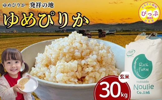 
                  【令和8年産 新米受付】 ゆめぴりか 玄米 30kg【農業生産法人ノウリエ】米 お米 北海道産 北海道米 特Aランク 国産 コメ 北海道 比布町 ぴっぷ 1017-023
                