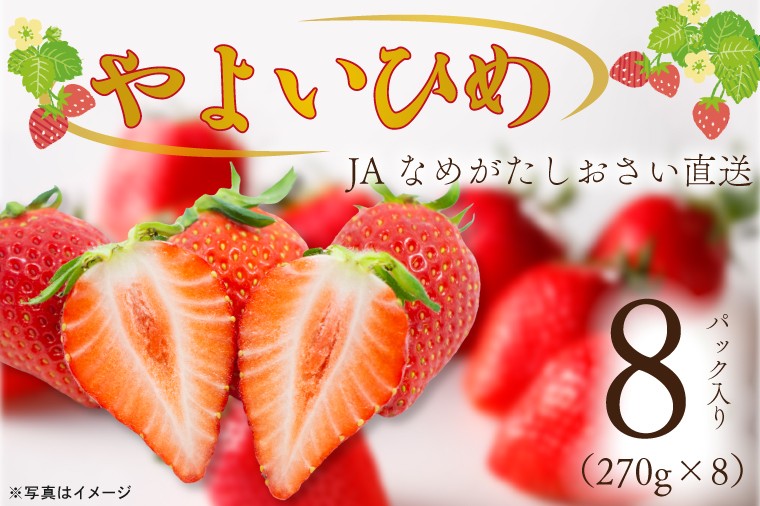 
                  【2027年1月中旬以降順次発送開始】JAなめがたしおさい直送「やよいひめ」2箱（8パック入）|茨城県 行方市 ふるさと納税 果物 フルーツ 苺 いちご イチゴ（AE-162）
                