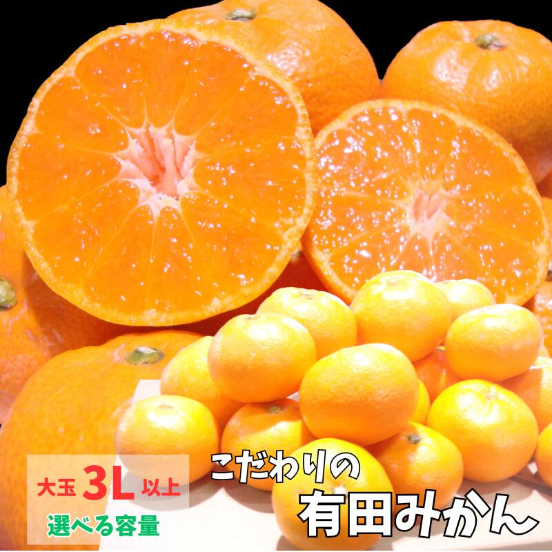 【ふるさと納税】 年内発送 有田みかん 12000円 15000円 7.5kg 10kg 大玉 3L以上【選べる容量】有機質肥料100%【※2025年12月中に発送(お届け日指定不可)】/ 訳あり ご家庭用 自宅用 訳ありみかん 有田みかん フルーツ 果物