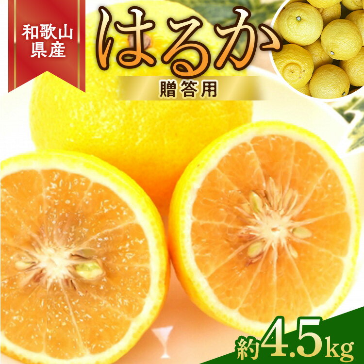 【ふるさと納税】【さわやか 柑橘】和歌山県 産 はるかみかん 約4.5kg（サイズ混合 秀品）｜はるか みかん 柑橘 果物 果実 国産 おすすめ 人気 フルーツ 美浜 和歌山 ※2026年2月下旬～3月下旬頃に順次発送予定