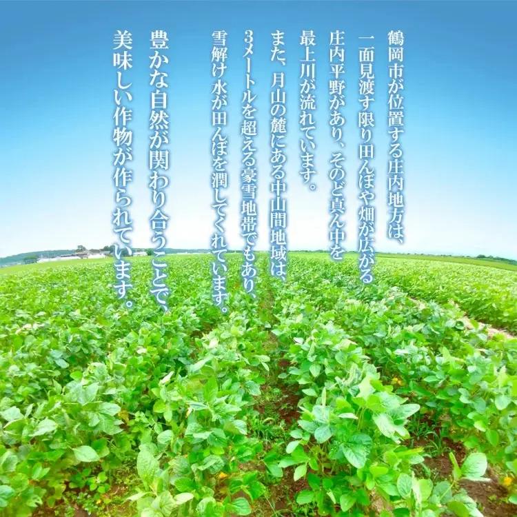 【令和8年産先行予約】山形県鶴岡特産　だだちゃ豆 1.6kg（200g×8袋）レンジ調理対応袋入　庄内産直センター　| 枝豆 豆 まめ マメ 野菜 産地直送 期間限定 夏野菜 旬 おつまみ ビール 香