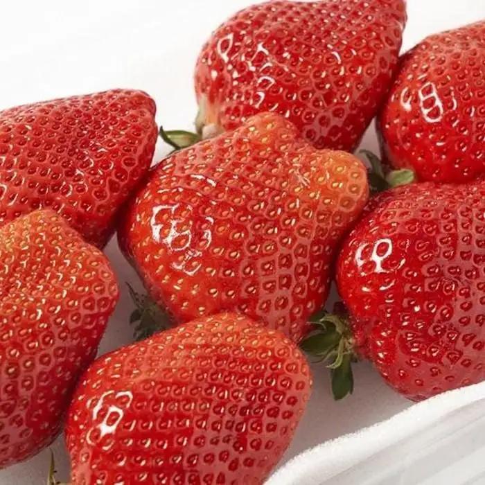 【2027年1月～2月出荷予定】完熟 あまおう イチゴ 280g×4パック(約1120g)＜配送不可：北海道、沖縄県、離島＞