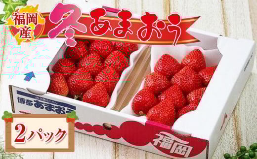 福岡産あまおう 2パック【あまおう いちご イチゴ 苺 フルーツ くだもの 福岡県産 博多あまおう 福岡あまおう ブランド 果物 食品 人気 おすすめ ギフト 贈答 福岡県 筑前町 DX005】