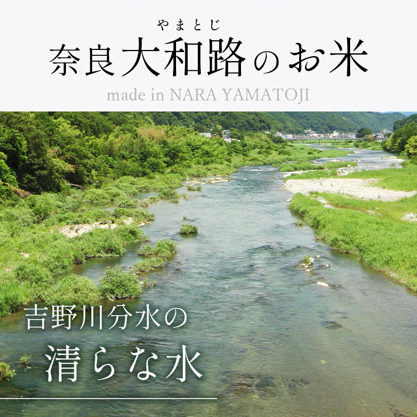 O8-3 【定期便3回】無洗米 奈良大和路 ひのひかり 5㎏ | 単一米 コメ こめ ゴハン ご飯 ごはん 大容量 奈良県 大淀町 ヒノヒカリ もちもち
