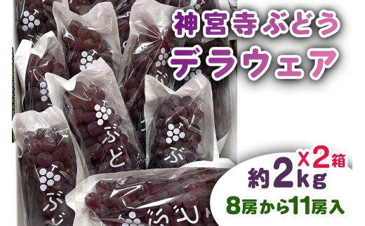 ブドウ 葡萄 ぶどう 神宮寺ぶどう デラウェア約2kg×2箱｜ブドウ 葡萄 ぶどう 神宮寺ぶどう 織姫の里からの贈り物 [0670]