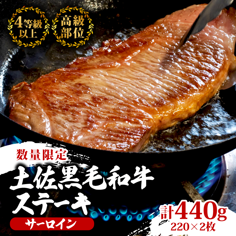 【2回定期便】土佐黒毛和牛 食べ比べ 1240g (計1.2kg以上) | Cコース 厳選 国産 和牛 ステーキ 焼き肉 お肉 にく 霜降り 牛肉 モモ肉 もも肉 サーロイン 人気 贈答 ギフト プレ