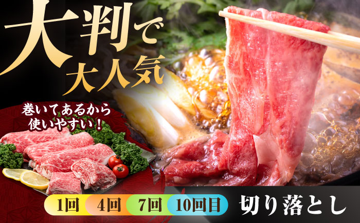 【肉のプロが厳選！】【全12回】佐賀牛 贅沢定期便【株式会社いろは精肉店】 [IAG076]
