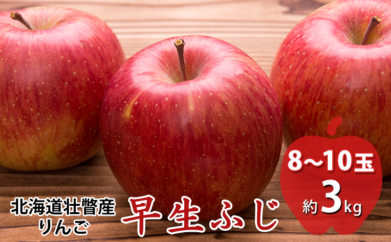 
[№5724-0898]＜2024年10月中旬よりお届け＞ 北海道壮瞥町 りんご 品種名「早生ふじ」8～10玉約3kg フルーツ 果物 りんご 果樹
