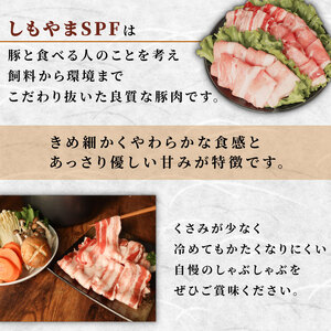 豚肉 2.5kg シャブシャブ用 豚しゃぶ【豚肉】