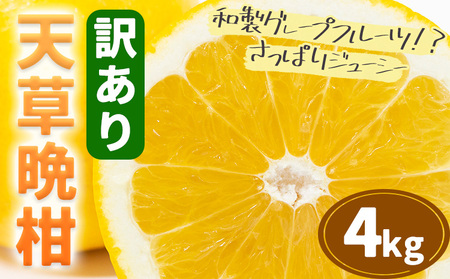【2027年先行予約】訳あり ご家庭用 柑橘 天草晩柑 約4㎏ あまくさ晩柑 晩柑 ばんかん 天草 西海岸 苓北 都呂々 九州 熊本 果物 フルーツ 送料無料 都呂々みかん生産者グループ《2027年3月上旬-5月下旬頃出荷》