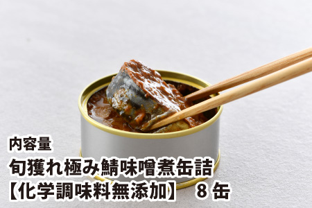 旬獲れ極み鯖味噌煮缶詰  8缶 サバ缶 おつまみ 保存食 [A-003059]