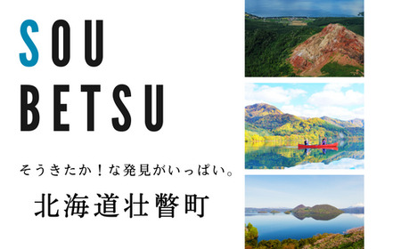 北海道壮瞥産　お米とレトルトカレー3種セット 【 ふるさと納税 人気 おすすめ ランキング 北海道 壮瞥 米 レトルトカレー リンゴ 林檎 アップル 白米 大福豆 贈り物 贈物 贈答 ギフト 大容量 