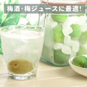 古城梅 約3kg (＋補償100g)【秀品】 L～Mサイズ カキエモン農園 【BX-kkem021】