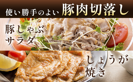 肥後あそび豚切落し 4kg 株式会社さつま屋産業《90日以内に出荷予定(土日祝除く)》 ぶた ブタ 豚肉 肉 ブランド豚 切り落とし 国産 九州産 熊本県産 菊池市産 冷凍 送料無料