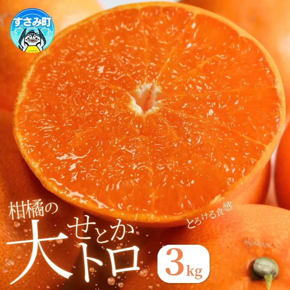 とろける食感！ せとか 約3kg【予約】【uot506A】