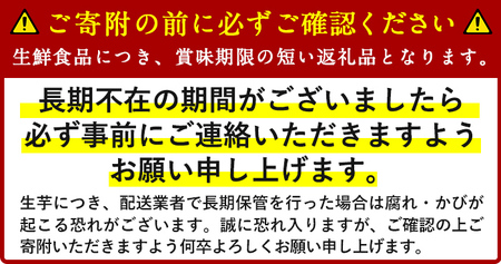 1672 かのや紅はるか 生芋Sサイズ 10kg KN011-001 南橋商事 ふるさと納税 鹿児島 鹿屋市 おすすめ ランキング プレゼント ギフト