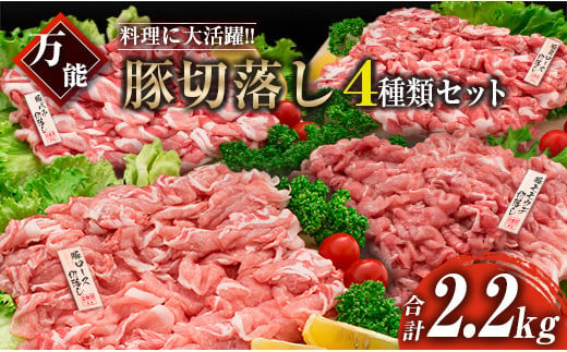 豚肉 切り落とし 4種 セット 合計2.2kg 日南市産 ポーク 国産 食品 おかず お弁当 おつまみ 万能食材 豚ロース 豚バラ 豚モモ 豚ウデ 切落し 食べ比べ 人気 おすすめ カレー 焼肉 生姜焼き 炒め物 大容量 お取り寄せ おすそ分け 宮崎県 日南市 送料無料_BB88-23