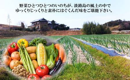 淡路島 自然栽培 野菜 風土ベジ セット 5～7品目 旬の野菜 季節の野菜 兵庫県 洲本市