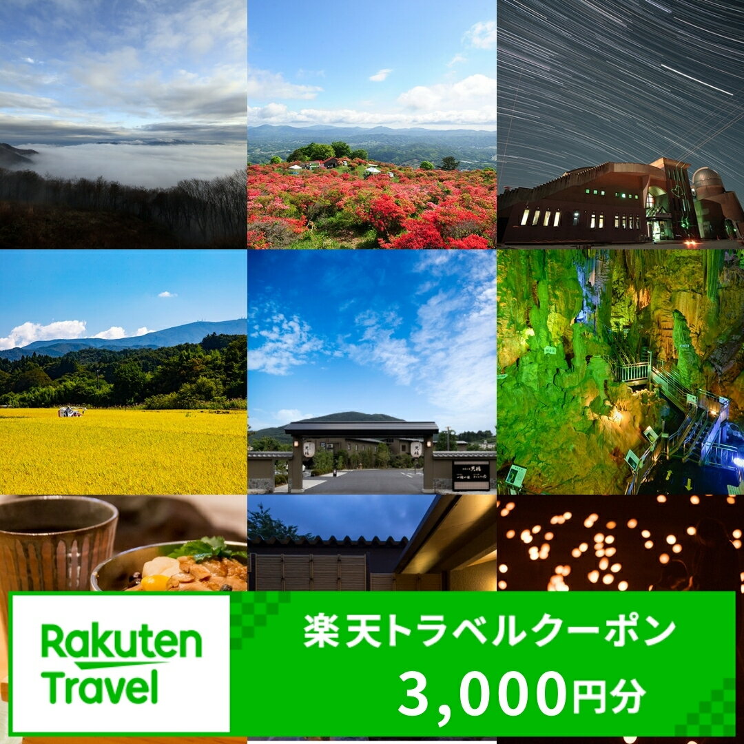 【ふるさと納税】福島県田村市の対象施設で使える楽天トラベルクーポン 寄付額10,000円 （ クーポン 3,000円分 ） 旅行 旅行券 トラベル 出張 予約 チケット 宿泊 観光 温泉 旅館 福島県 田村市 【 利用可能期間3年間 】