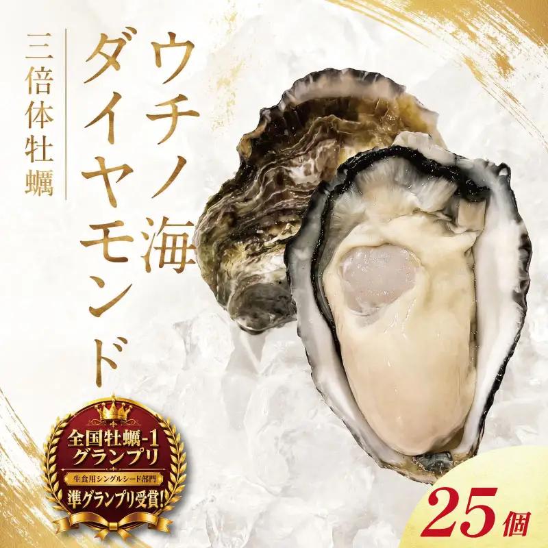 牡蠣 生食用 《全国牡蠣-1グランプリ 準グランプリ受賞！》 25個