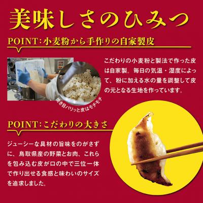 ふるさと納税 鳥取市 鳥取餃子 鳥取県産ブランド豚使用 60個セット (30個入り×2パック) |  | 02