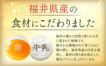 【先行予約　母の日】福井極生プリン すいーと びたー食べ比べセット【6個入り】 [A-208001_sp] / プリン