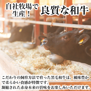 【自社農場和牛】黒毛和牛 赤身 焼肉用 800g（国産 黒毛和牛 牛肉 和牛 赤身 モモ ウデ 焼肉 BBQ 限定）