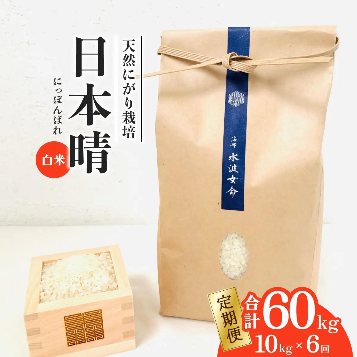 先行予約【定期便】 日本晴 白米 10kg×6回 6ヶ月連続 天然にがり栽培 にっぽんばれ 希少 品種 お寿司 ピラフ チャーハン【2026年10月より順次発送】