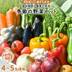【高知県SDGs認定生産者】農薬不使用 季節の野菜セット(4～5名様用)