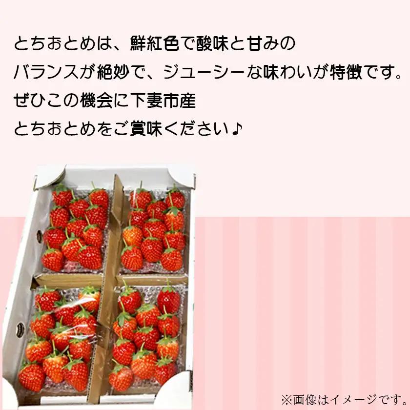 いちご とちおとめ M～L 約1kg いちご 下妻市産 本州のみ配送