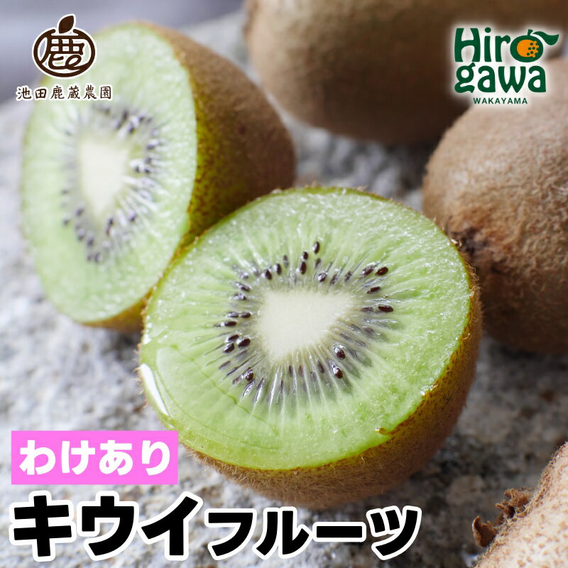 【ふるさと納税】 キウイ 家庭用 / キウイフルーツ 訳あり 果物 和歌山 1kg 3kg 5kg 5000円 わけあり 人気 ※11月中旬～5月中旬頃に順次発送予定 ※北海道・沖縄・離島への配送不可 //hokaf