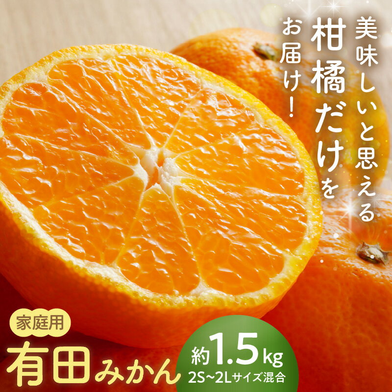 【ふるさと納税】【2026年先行予約】有田みかん 1.5kg サイズ 2S ～ 2L 混合 ご家庭用 有田 みかん ブランドみかん 柑橘 果物 果実 フルーツ ビタミン 里美農園 産地直送 国産 和歌山県 湯浅町 お取り寄せ お取り寄せグルメ 送料無料