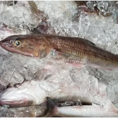ふるさと納税 岡垣町 はつ天(ピリ辛ミックス)6個セット 冷凍真空パック(岡垣町) |  | 01