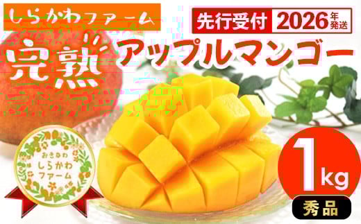 
            【先行受付】【2026年発送】しらかわファームのアップルマンゴー 秀 約1kg - 先行予約 沖縄 産地直送 南国フルーツ 旬の味覚 旬のフルーツ 贈り物 ギフト 沖縄県 八重瀬町
          