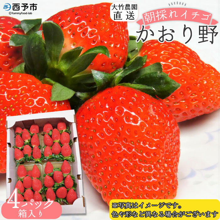 【ふるさと納税】＜イチゴ「かおり野」約280g×4パック 大竹農園直送＞ かおりの イチゴ いちご 苺 果物 くだもの フルーツ ストロベリー 旬 期間限定 季節限定 特産品 農家直送 産地直送 愛媛県 西予市 【冷蔵】『2025年12月～2026年3月末迄に順次出荷予定』