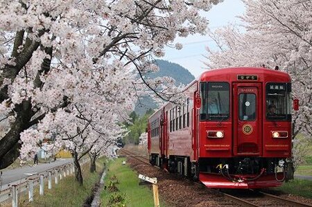 観光列車 「ながら」 ランチプラン 予約 乗車券 （シングル） T42-05 