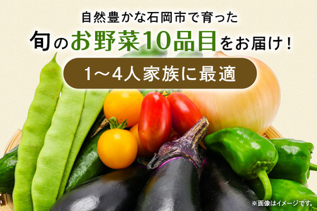 石岡の旬野菜詰め合わせ 約10品目 新鮮野菜セット (B01-001)