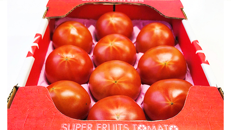糖度9度以上 トマト 【 2025年収穫分 先行予約 】 【 定期便 】 スーパーフルーツトマト 小箱 約800g×1箱×3回 お届け！ 糖度9度以上 フルーツトマト トマト 2025年2月上旬発送開