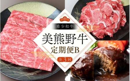 【3回定期便B】牛肉 美熊野牛 牛肉定期便【okad-tkb0012】