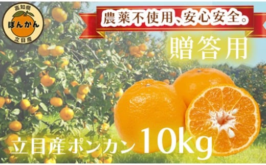 【 早期予約開始 】ポンカン 2026年1月下旬 発送 秀品 贈答用 10kg 無農薬 ブランド サイズ混合 家庭用 立目産ぽんかん 柑橘 高知県 須崎市 MO006