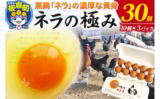 ネラの極み 卵 たまご 30個（10個×3パック）