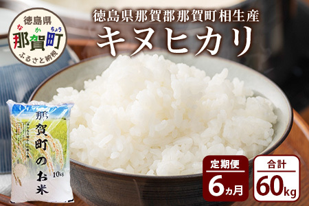 【お米の定期便6回】那賀町のお米 キヌヒカリ 10kg×6回 計60kg【徳島県 那賀町 相生 国産 白米 精米 キヌヒカリ 10kg 10キロ 60kg 60キロ 産地直送】YS-19