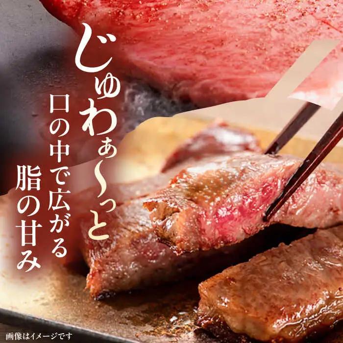 【全2回定期便】博多和牛 サーロイン ステーキ 200g × 2枚 [ADBM002] サーロイン 定期便