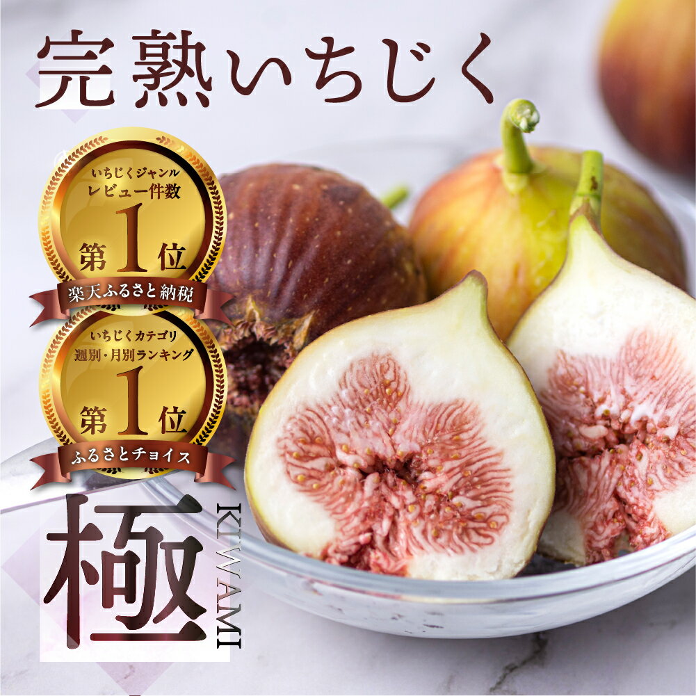 【ふるさと納税】いちじく 極 9-12玉 高評価★4.8 完熟 大玉 《先行予約》 1箱/2箱 発送時期が選べる フルーツ 日時指定可 受賞農家 果物 無花果 イチジク くだもの いちぢく ランキング 入手困難 高級 愛知県 田原市 渥美半島 人気