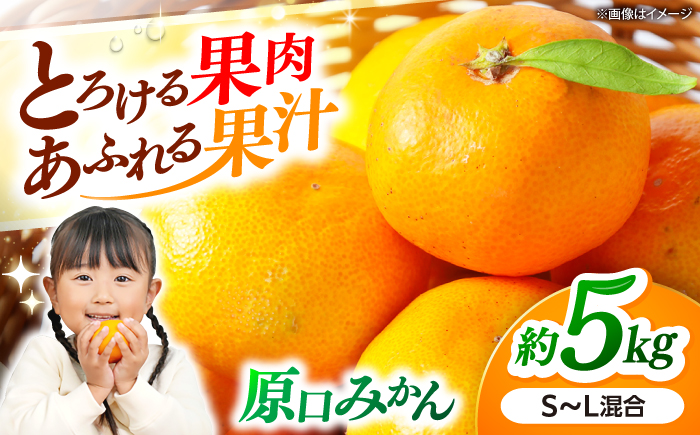 【11月中旬より順次発送】原口みかん 約5kg＜道の駅さいかい みかんドーム＞ [CAI039]