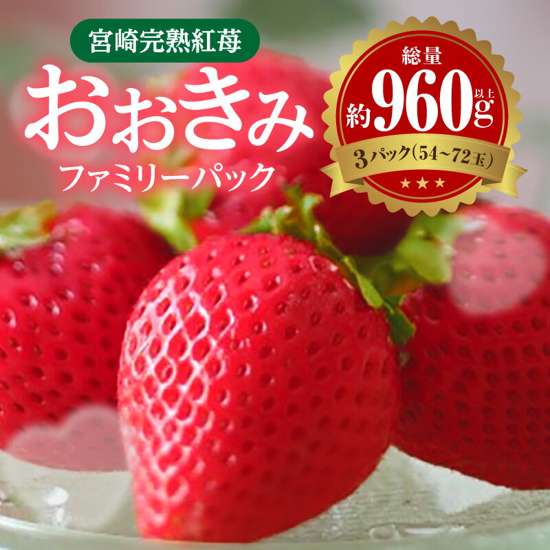 【ふるさと納税】《2026年発送》【数量・期間限定】宮崎完熟紅苺「おおきみ」ファミリーパック いちご 完熟いちご 赤いちご 紅いちご 果物 フルーツ デザート スイーツ ストロベリー 贈答 贈り物 ギフト 化粧箱 化粧箱入り 箱入り おすすめ グルメ お取り寄せ 宮崎県 宮崎市