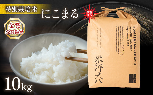 
令和6年産 新米 にこまる 10kg 天日干し ( 2024年産 ブランド 米 rice 精米 白米 ご飯 内祝い もちもち 国産 送料無料 滋賀県 竜王 ふるさと納税 )
