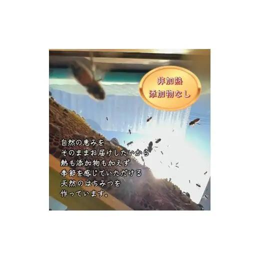 国産純粋生はちみつ ハニービーズコレクション“しろいの季節” 40g お試しサイズ 純粋はちみつ 非加熱 添加物なし 百花蜜 単花蜜 国産はちみつ 生はちみつ100% 美味しい